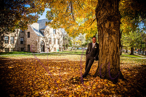 wedding pictures