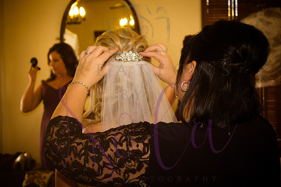 wedding pictures