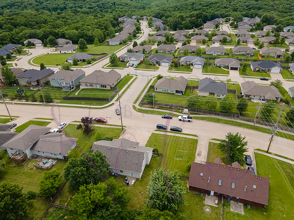 Lori Sunflower 0021