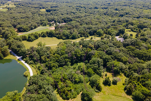 Betsy Shady Hills 2025 0116