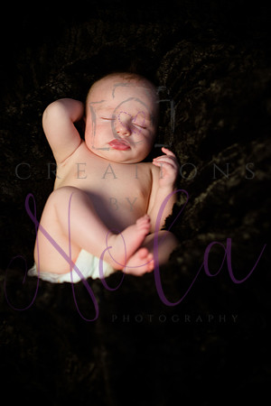 Brayden 3 month 245