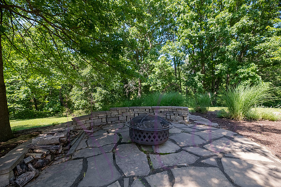 Betsy Shady Hills 2025 0036