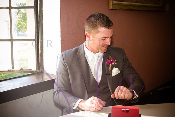 wedding pictures