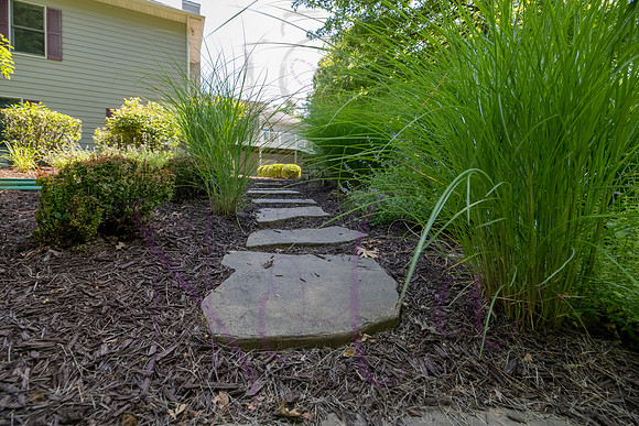 Betsy Shady Hills 2025 0043