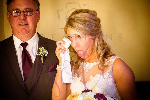 wedding pictures