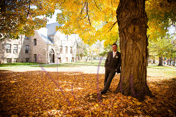 wedding pictures