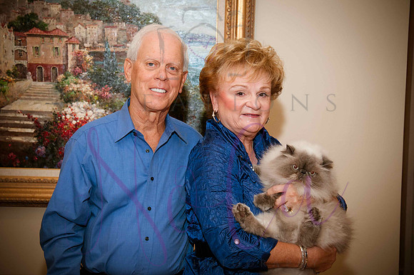 Brant family 59