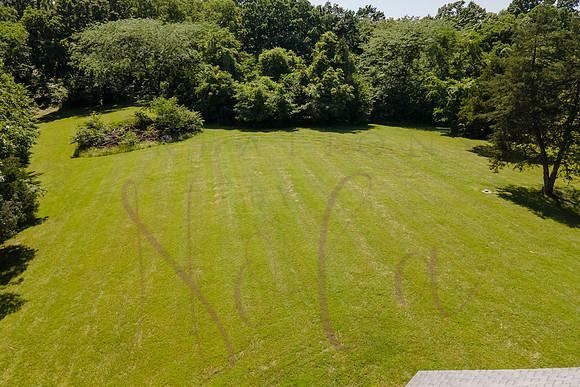 Betsy Shady Hills 2025 0147