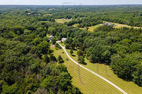 Betsy Shady Hills 2025 0131