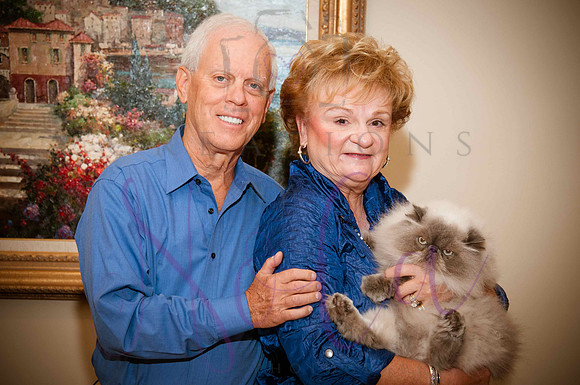Brant family 63