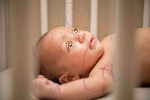 Lee Melanie 2024 0262