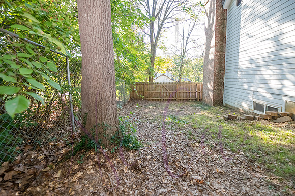 Betsy Arbor 0093