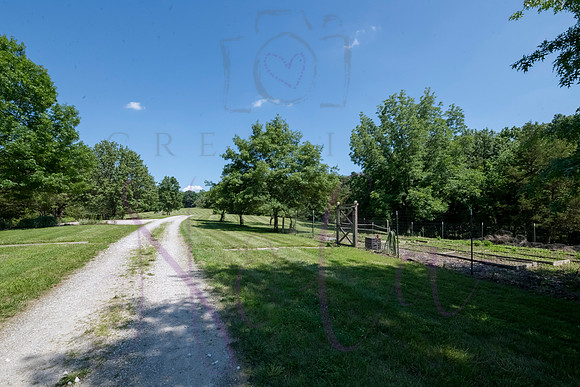 Betsy Shady Hills 2025 0080
