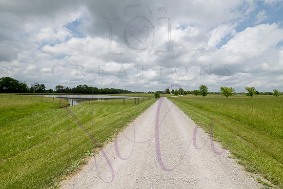 Betsy Highway AB 0286
