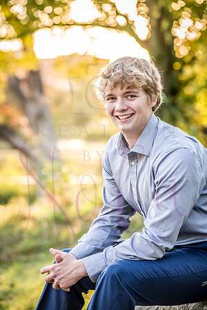 Luke 0311