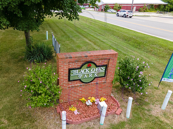 Black Oaks Boonville 0016