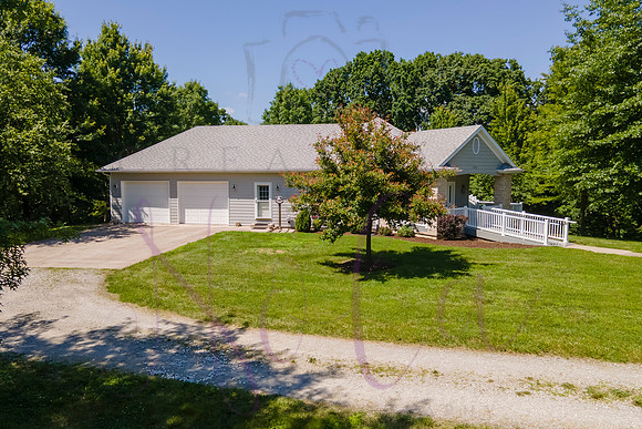 Betsy Shady Hills 2025 0091