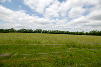 Betsy Highway AB 0014