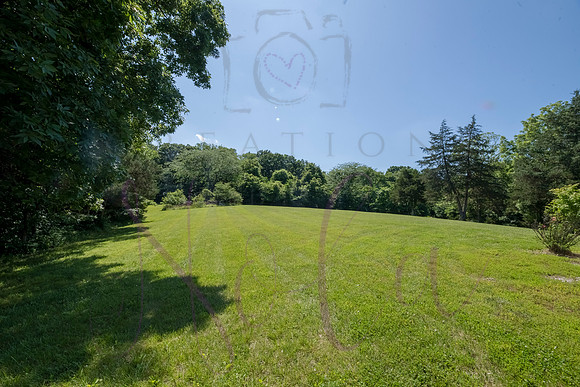 Betsy Shady Hills 2025 0069