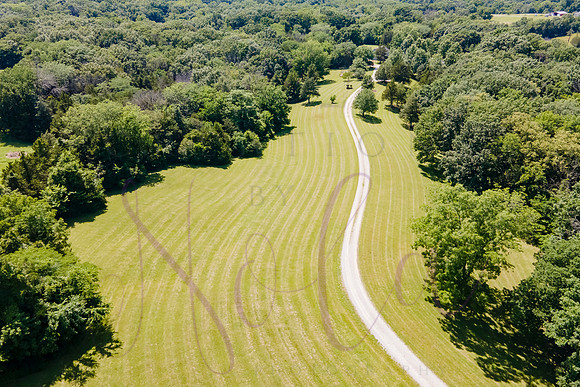 Betsy Shady Hills 2025 0112