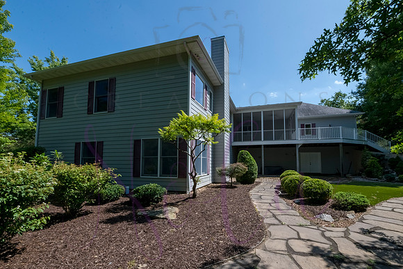 Betsy Shady Hills 2025 0042