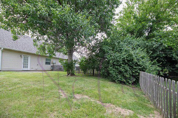 Lori Sunflower 0117