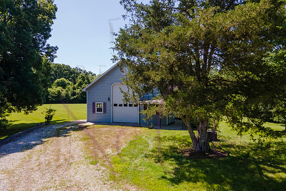 Betsy Shady Hills 2025 0142