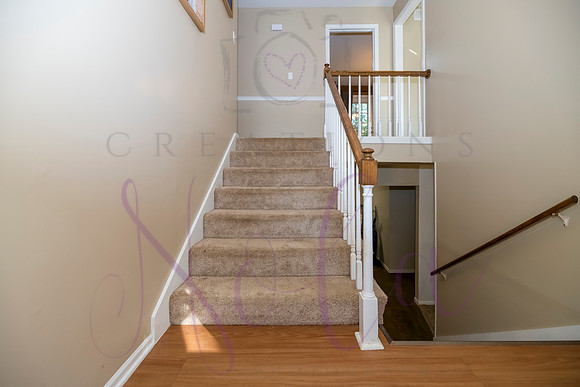 Betsy Arbor 0074