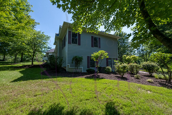 Betsy Shady Hills 2025 0045