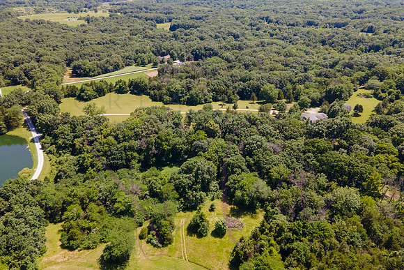 Betsy Shady Hills 2025 0117
