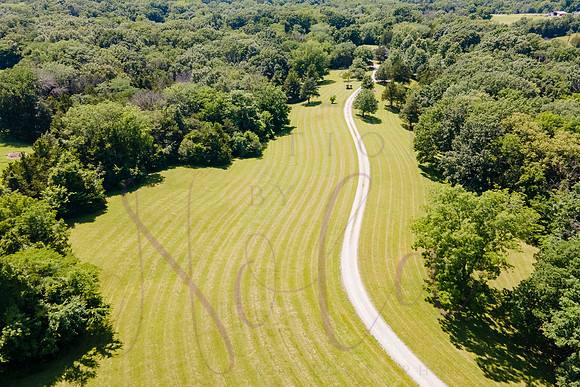 Betsy Shady Hills 2025 0111