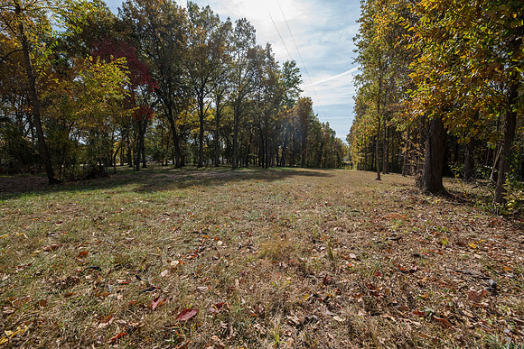 Betsy Locust Grove 0034