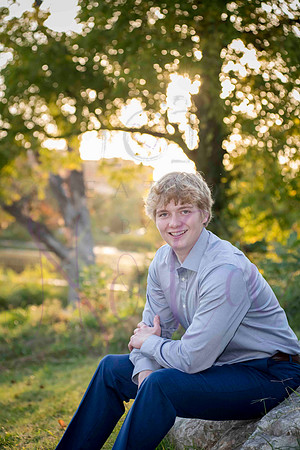 Luke 0313