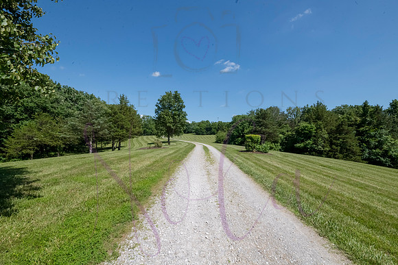 Betsy Shady Hills 2025 0084