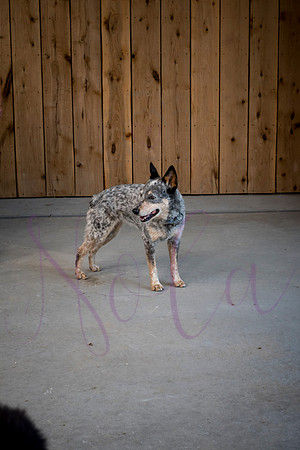 Amy Rucker 0082