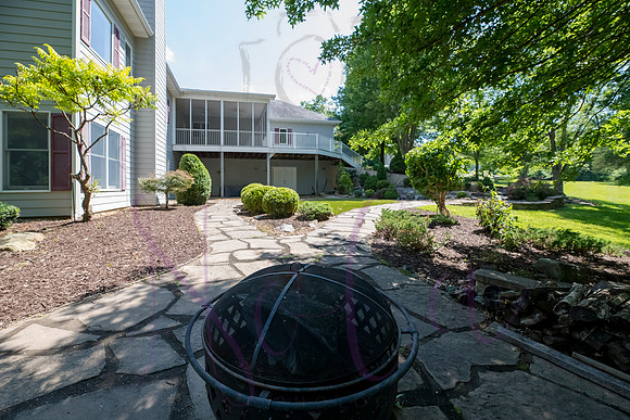 Betsy Shady Hills 2025 0040