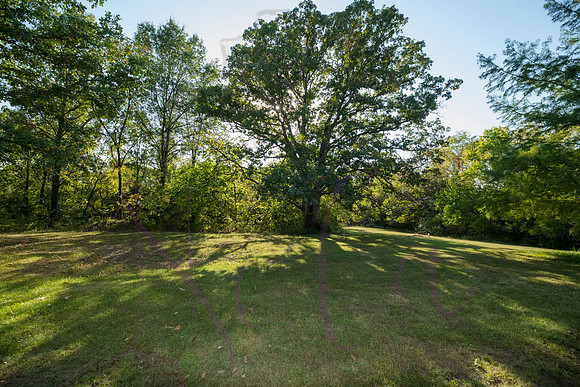 Lori Higbee 0155