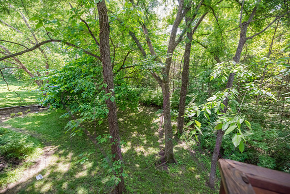 Betsy 3602 Berkshire 0089