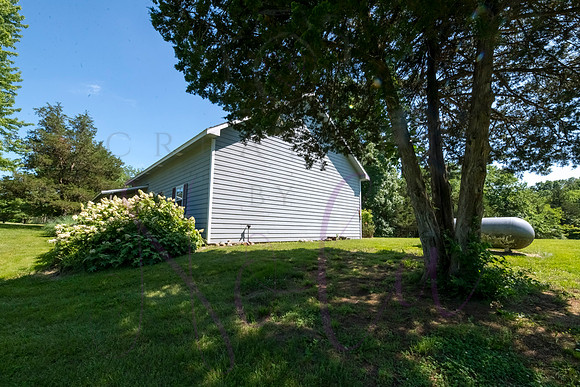 Betsy Shady Hills 2025 0073
