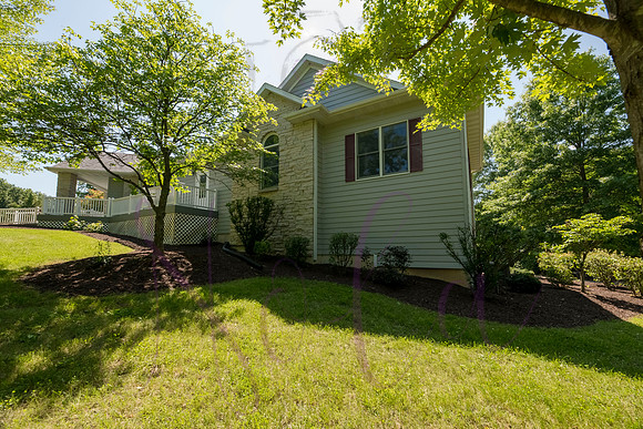 Betsy Shady Hills 2025 0047