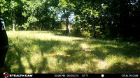 Spencer's wildlife camera 2023