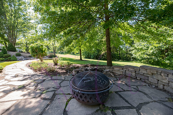 Betsy Shady Hills 2025 0038