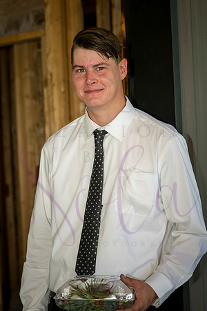 David Holly 0048