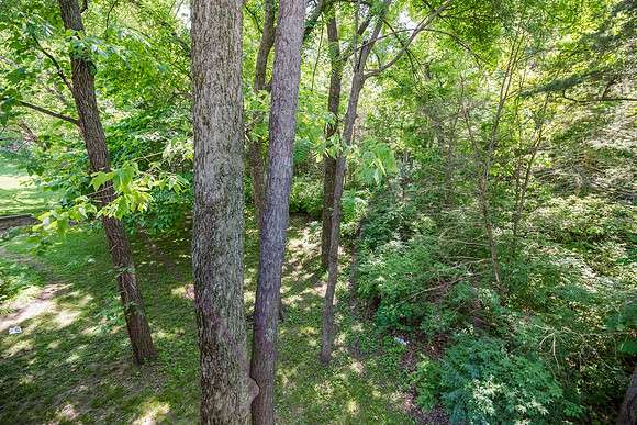 Betsy 3602 Berkshire 0088