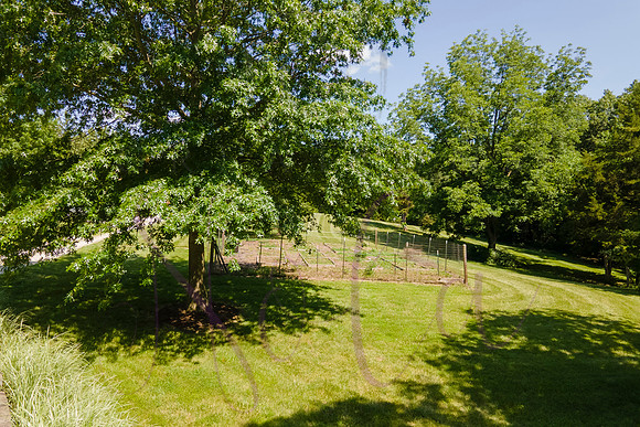 Betsy Shady Hills 2025 0153