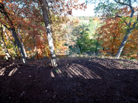 Lori Wooldridge 2023 0019