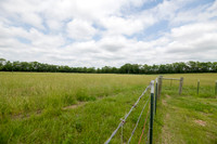Betsy Highway AB 0015