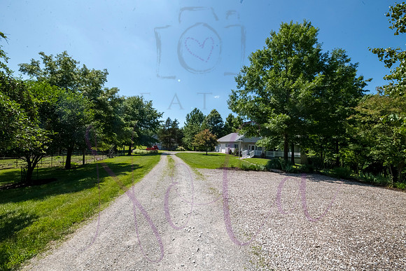 Betsy Shady Hills 2025 0086