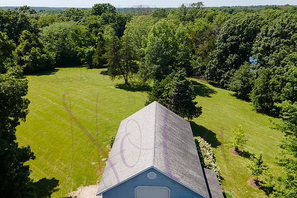 Betsy Shady Hills 2025 0150