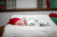 Ellie Lauer smaller